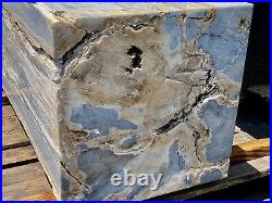 Huge High Quality Petrified Wood Block 17x17x63 Museum Quality