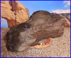 Huge Petrified Fossilised Wood Sparkling Permineralised Fossil Tree 8994g