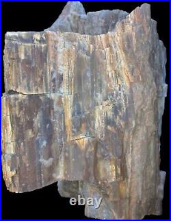 Huge Petrified Opal Agate Wood 5lbs+ Massive Extremely Rare 2290grams Druzy Wood