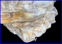 Huge Petrified Opal Agate Wood 5lbs+ Massive Extremely Rare 2290grams Druzy Wood