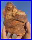 Huge_Petrified_Opal_Agate_Wood_6lbs_Massive_Extremely_Rare_Druzy_Covered_01_du