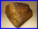 Huge_Petrified_Wood_Tree_Portion_Old_Collected_Specimen_1930_s_82lbs_37kg_01_acaw