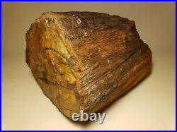 Huge Petrified Wood / Tree Portion Old Collected Specimen 1930's 82lbs / 37kg