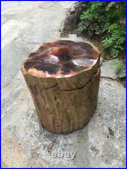 Huge, Round Polished Arizona Petrified Wood Log