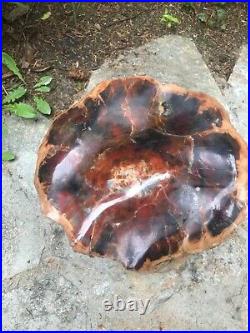 Huge, Round Polished Arizona Petrified Wood Log