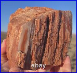 Huge! Wow! Petrified Opal Agate Wood 5lbs+ Massive Extremely Rare Druzy Covered