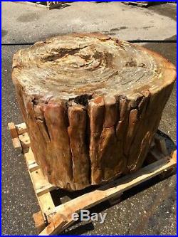 Huge petrified wood stool stump table pedestal fossil