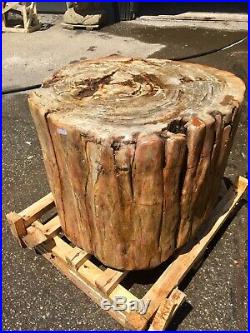 Huge petrified wood stool stump table pedestal fossil