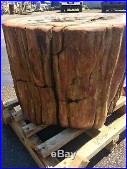 Huge petrified wood stool stump table pedestal fossil