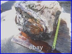 Hugh Solid Agatized & Opalized Petrified Wood 14 16 Diam. X 22 Length