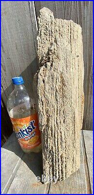 IMPRESSIVE 29.11 Lb Petrified Fossil Wood Log Covered In Large Druzy-Over 20 L