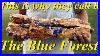 I_Found_A_Petrified_Log_Coated_In_Blue_Agate_Digging_The_Blue_Forest_For_Incredible_Petrified_Wood_01_sna