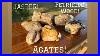 Incredible_Rocks_From_South_Dakota_Cut_Open_Petrified_Wood_Agate_Jasper_01_wl
