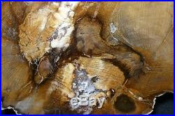 Incredible Stinking Water Golden Oak round! TRIPPLE HEARTSTOP SHELF