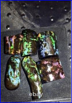 Indonesian Fossilized Wood Opal
