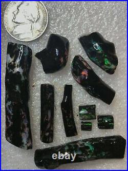 Indonesian Opalized Fossil Wood Specimens #OW002