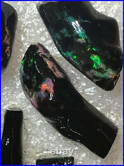 Indonesian Opalized Fossil Wood Specimens #OW002