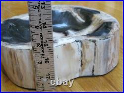 Indonesian Petrified Wood Fossil Cut & Polished into Bowl Dish 8.4lbs 8.5x8x2.5