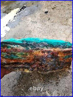 Indonesian blue opalized petrified wood 2,5 Kg