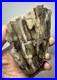 Johnson_City_Texas_Petrified_Wood_Tree_Fossil_Slab_with_Polished_Base_01_qlrs