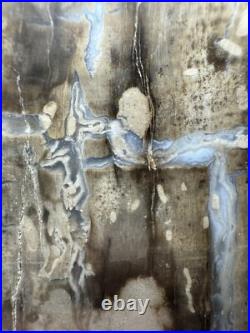 Johnson City Texas Petrified Wood Tree Fossil Slab with Polished Base Johnson City Texas Petrified Wood Tree Fossil Slab with Polished Base