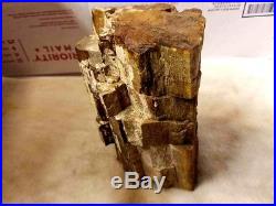 LARGE 4.9 lbs. Petrified Wood Fossils, and logs, wood in to stone