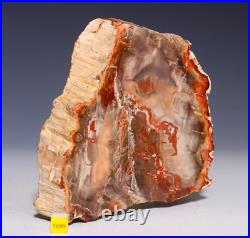 LARGE PETRIFIED WOOD Fossil Arizonia Rainbow Wood Slab 872g