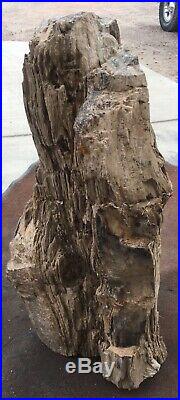 LARGE PETRIFIED WOOD LOG GORGEOUS 100 lb KNOTS AND HOLES Collector Fossil