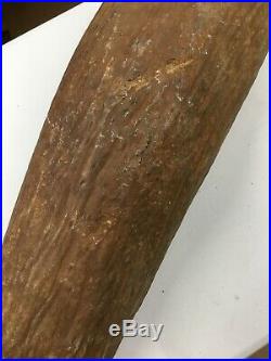 LARGE PETRIFIED WOOD LOG GORGEOUS 40 lb MINERAL, ROCK ANTIQUE Collector Fossil