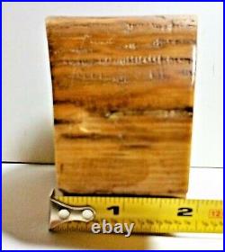 LOVELY PETRIFIED WOOD Piece 4-1/2 x 3-1/2 x 2 At least MILLIONS OF YEARS OLD