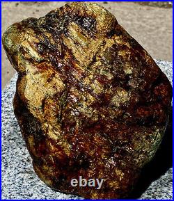 Large 10+ Lbs Natural Opalized Fossilized Wood Nodule Super Rare