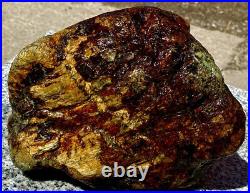 Large 10+ Lbs Natural Opalized Fossilized Wood Nodule Super Rare