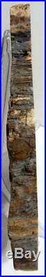 Large 14.5 8+ lb Polished Petrified Wood Slice Slab Madagascar WithStand B806