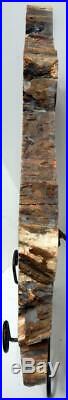 Large 14.5 9+ lb Polished Petrified Wood Slice Slab Madagascar WithStand E609