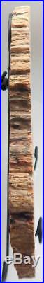 Large 14.75 10+lb Polished Petrified Wood Slab Madagascar WithStand A905