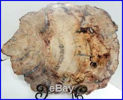 Large 14.75 7+ lb Polished Petrified Wood Slice Slab Madagascar WithStand A609