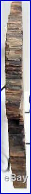 Large 14.75 7+ lb Polished Petrified Wood Slice Slab Madagascar WithStand A609