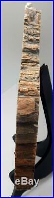 Large 14 9+ lb Polished Petrified Wood Slice Slab Madagascar WithStand E225