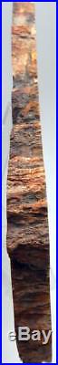 Large 15.5 8+ lb Polished Petrified Wood Slab Madagascar WithStand B1206
