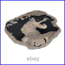 Large 17 in Petrified Wood Stone Tray Centerpiece Plate Fossil Live Edge Natural