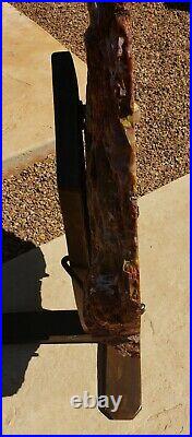 Large 22 Inch Fossil Petrified Wood Red Rainbow Round W Display Stand Arizona