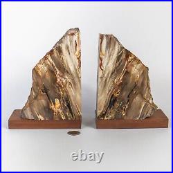 Large 8 inch Tall Petrified Wood Bookends with Polished Front Surface
