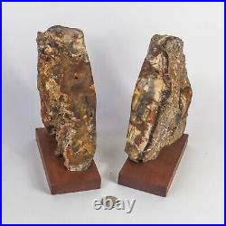 Large 8 inch Tall Petrified Wood Bookends with Polished Front Surface