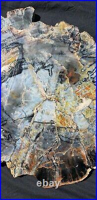 Large Beautiful 24 Inch Fossil Petrified Wood Rainbow Slice Arizona