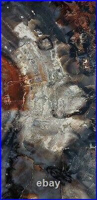 Large Beautiful 24 Inch Fossil Petrified Wood Red Rainbow Round Arizona