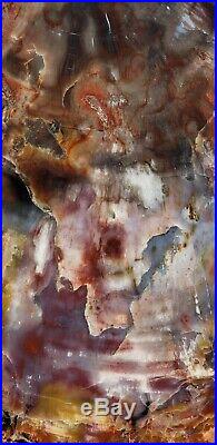 Large Beautiful 26.5 Inch Fossil Petrified Wood Red Rainbow Round Arizona