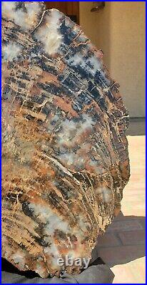 Large Beautiful 33 Inch Fossil Petrified Wood Rainbow The Pinecone Arizona