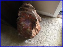 Large Beautiful Piece Of Petrified Wood From Near The Petrified Forest