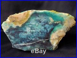 Large Blue Opalized Opal Fossil Petrified Wood Copper Specimen Crystal Stone