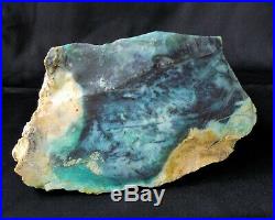 Large Blue Opalized Opal Fossil Petrified Wood Copper Specimen Crystal Stone